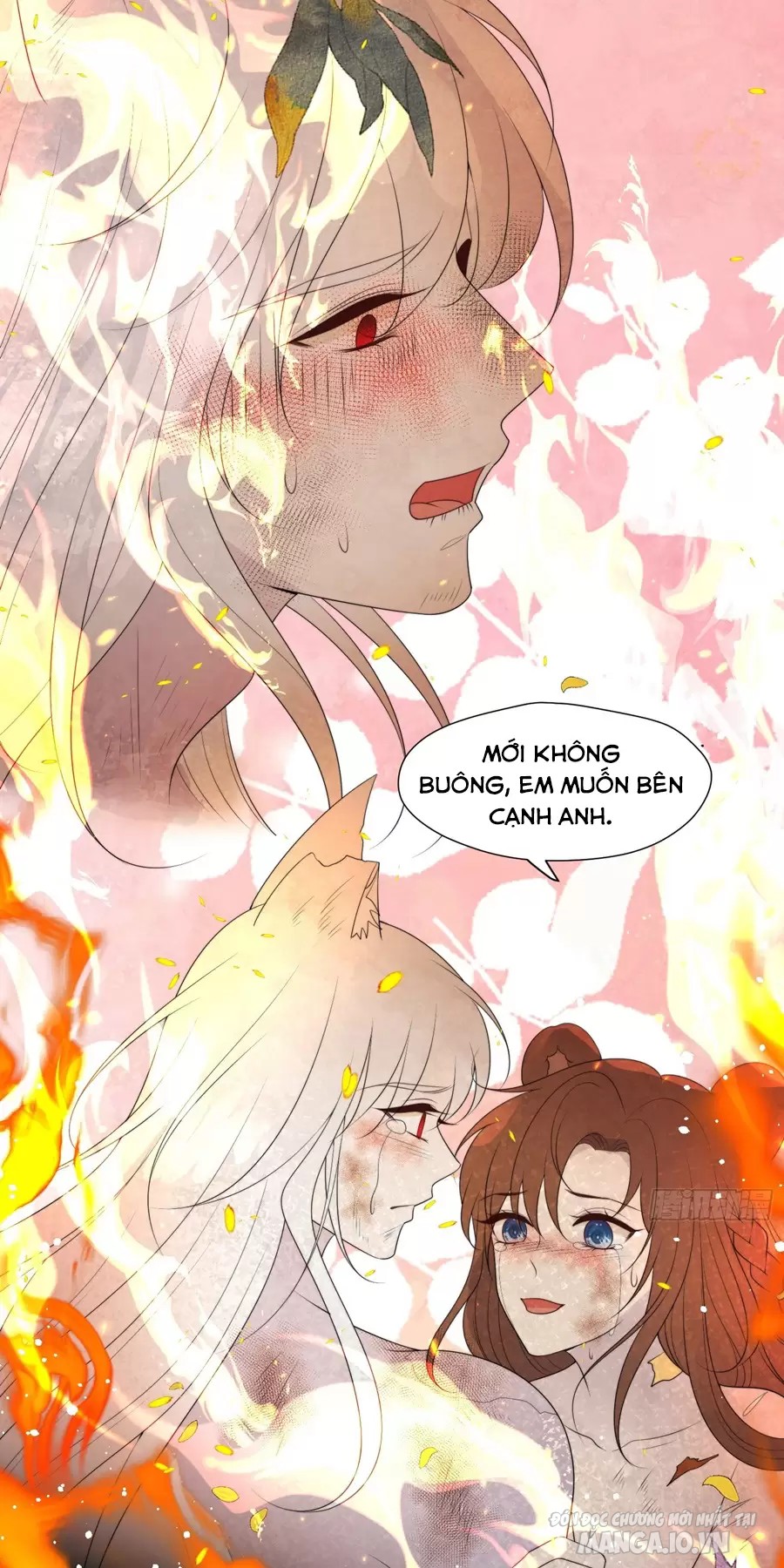 Hoảng Hốt Sau Khi Xuyên Thành Kiều Thê Của Thú Nhân Chapter 247 - Trang 2