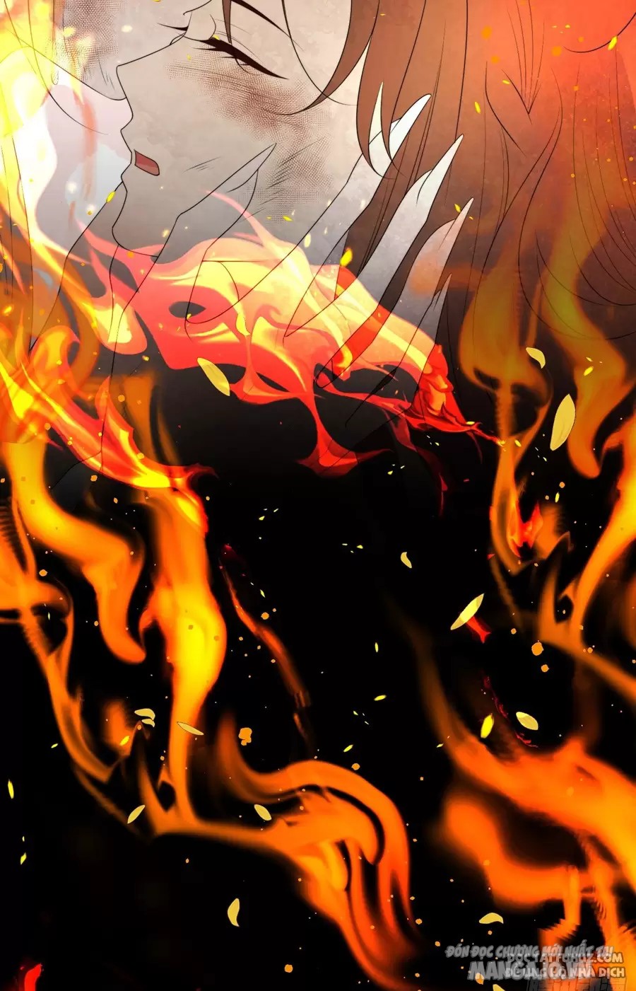 Hoảng Hốt Sau Khi Xuyên Thành Kiều Thê Của Thú Nhân Chapter 247 - Trang 2