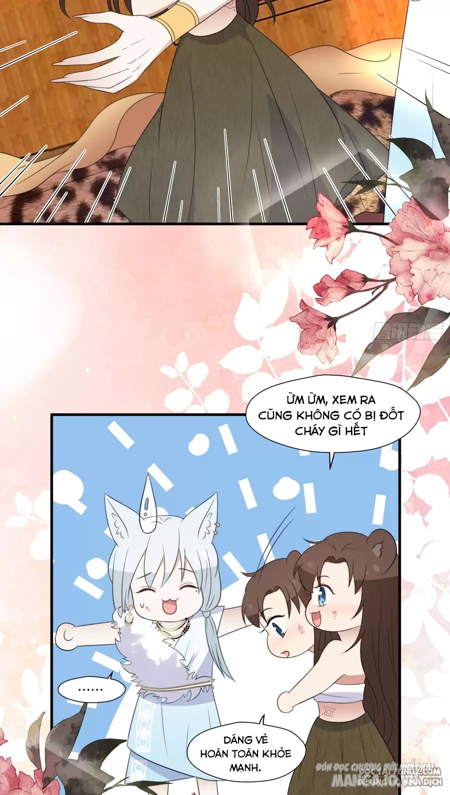 Hoảng Hốt Sau Khi Xuyên Thành Kiều Thê Của Thú Nhân Chapter 248 - Trang 2