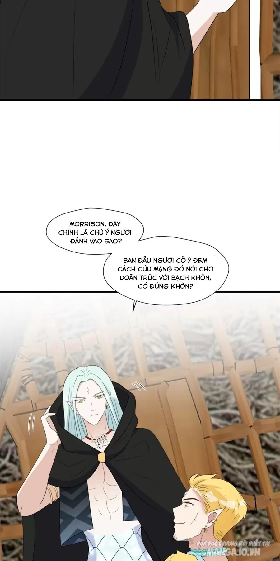 Hoảng Hốt Sau Khi Xuyên Thành Kiều Thê Của Thú Nhân Chapter 251 - Trang 2