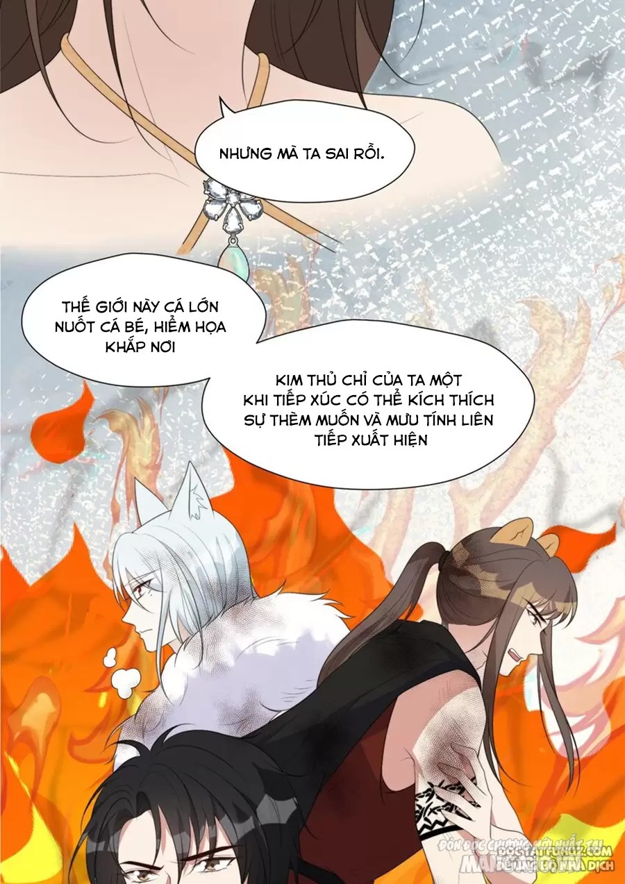 Hoảng Hốt Sau Khi Xuyên Thành Kiều Thê Của Thú Nhân Chapter 252 - Trang 2