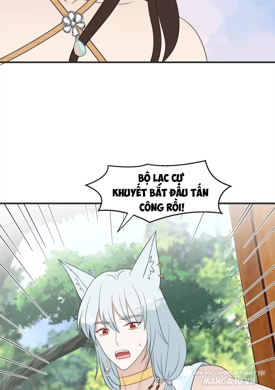 Hoảng Hốt Sau Khi Xuyên Thành Kiều Thê Của Thú Nhân Chapter 252 - Trang 2