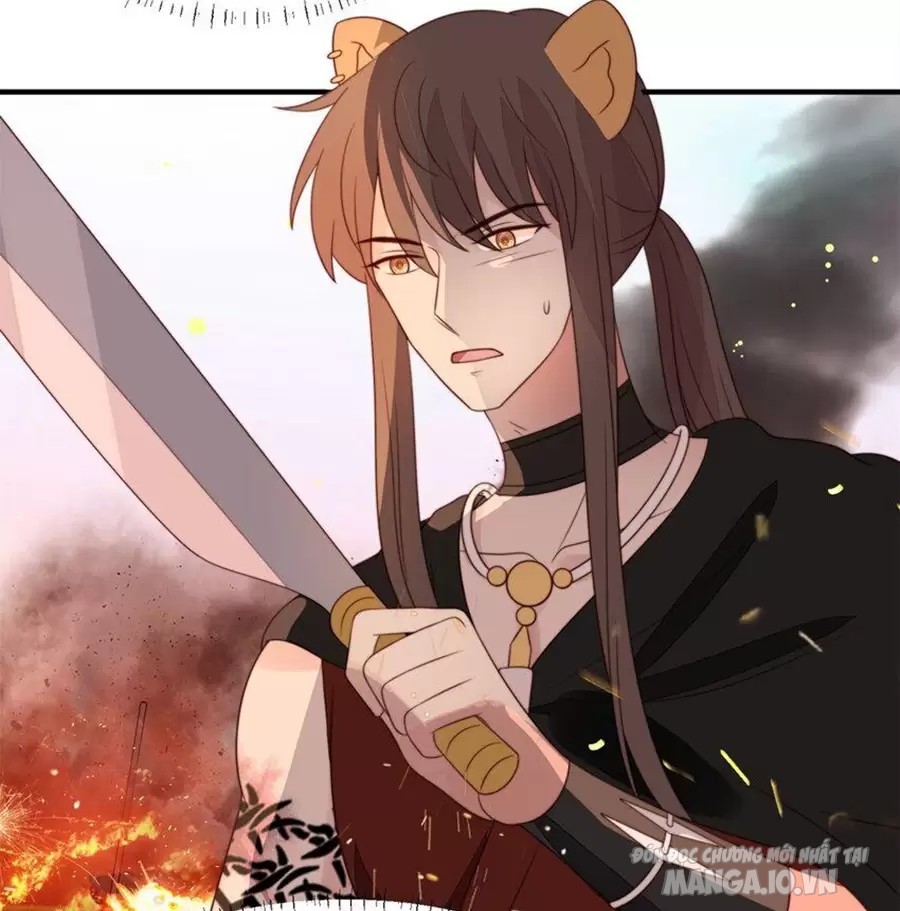 Hoảng Hốt Sau Khi Xuyên Thành Kiều Thê Của Thú Nhân Chapter 255 - Trang 2