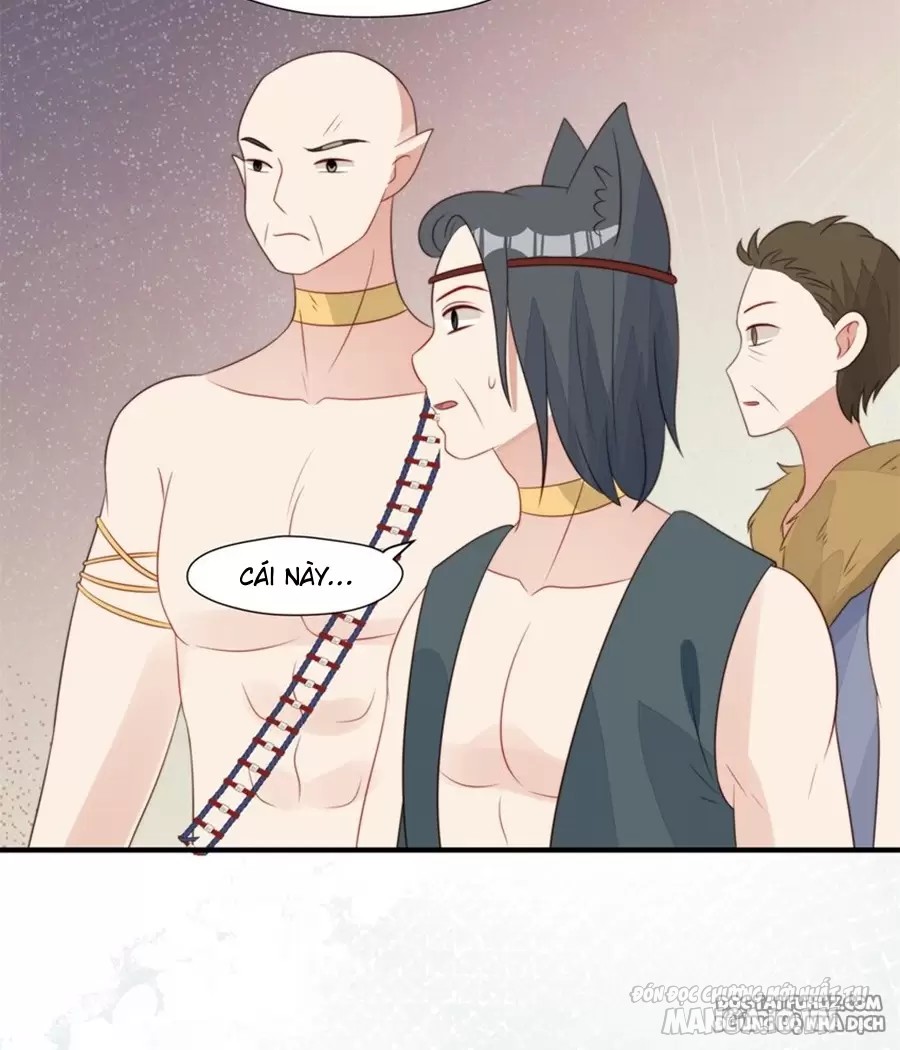 Hoảng Hốt Sau Khi Xuyên Thành Kiều Thê Của Thú Nhân Chapter 255 - Trang 2