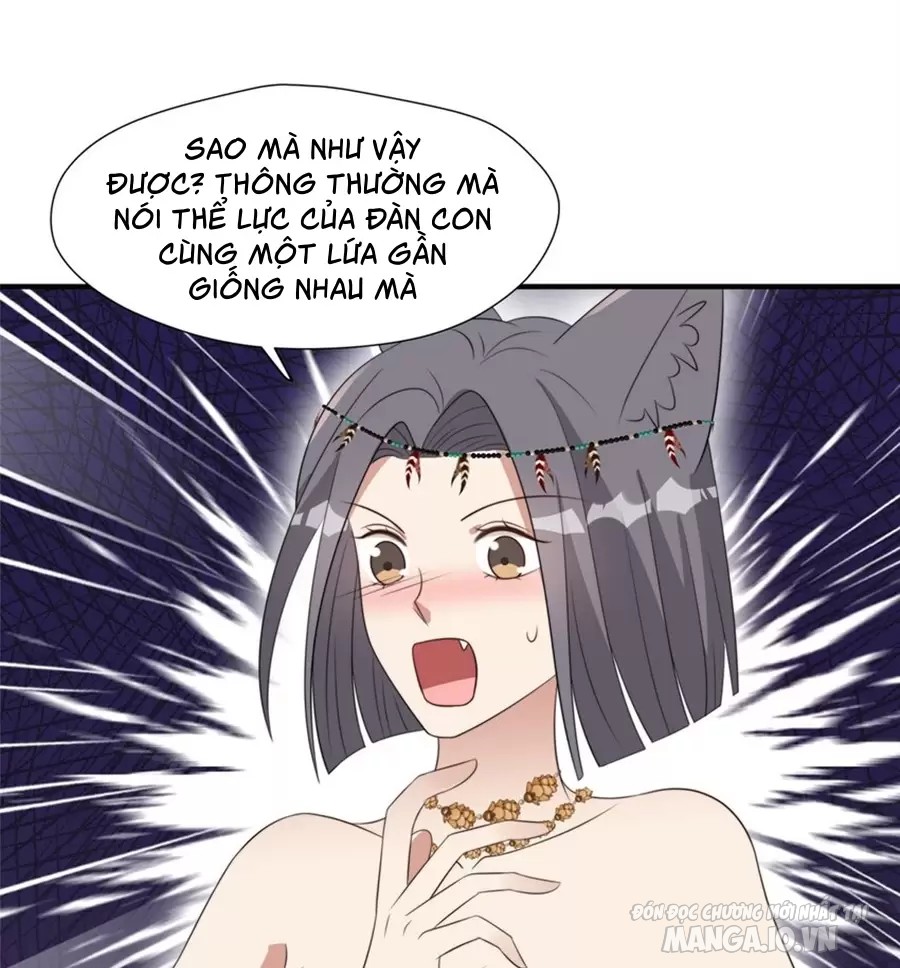 Hoảng Hốt Sau Khi Xuyên Thành Kiều Thê Của Thú Nhân Chapter 259 - Trang 2