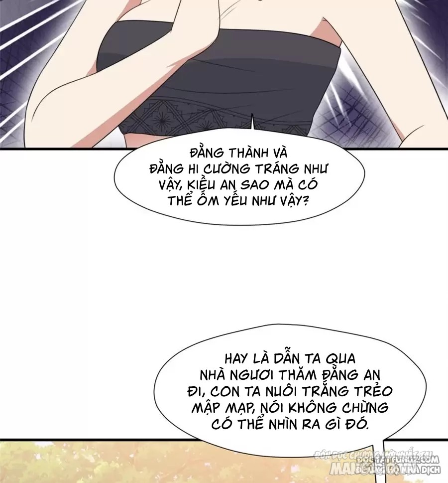 Hoảng Hốt Sau Khi Xuyên Thành Kiều Thê Của Thú Nhân Chapter 259 - Trang 2