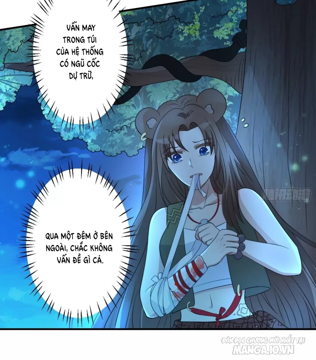 Hoảng Hốt Sau Khi Xuyên Thành Kiều Thê Của Thú Nhân Chapter 26 - Trang 2