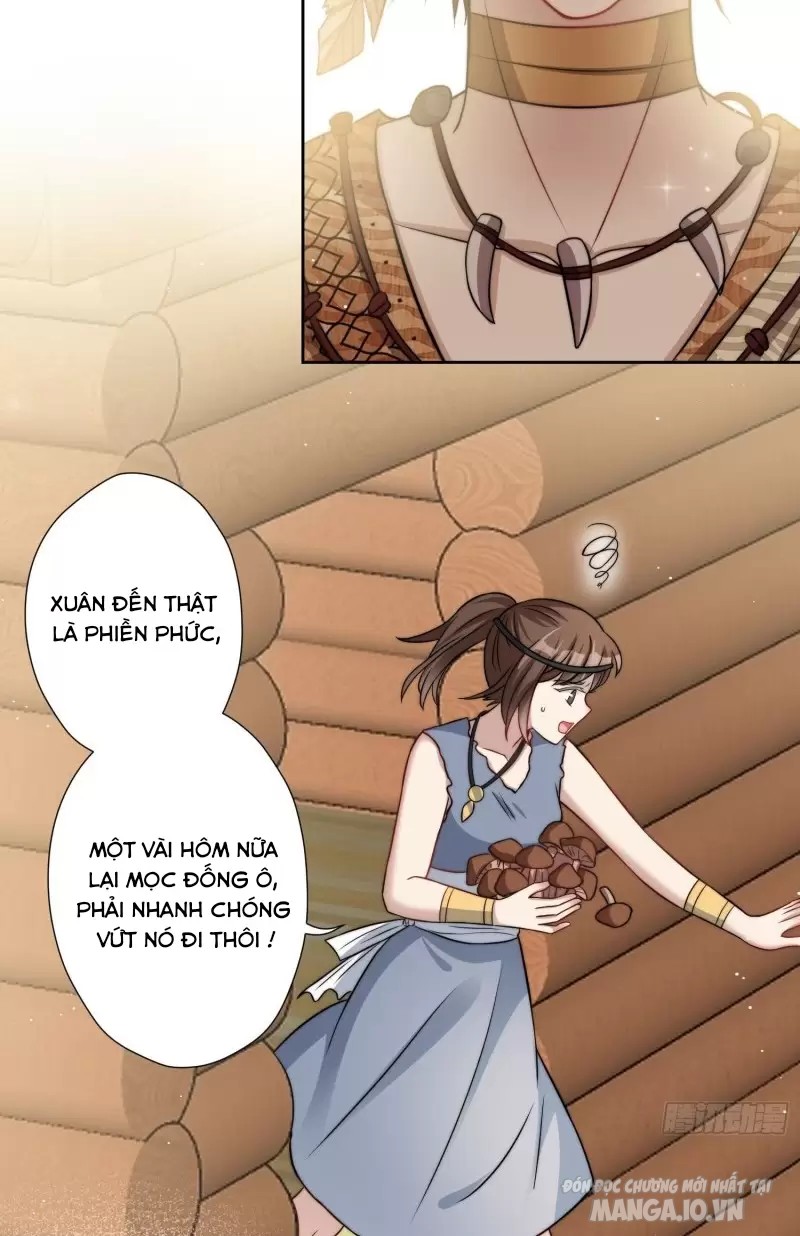 Hoảng Hốt Sau Khi Xuyên Thành Kiều Thê Của Thú Nhân Chapter 3 - Trang 2