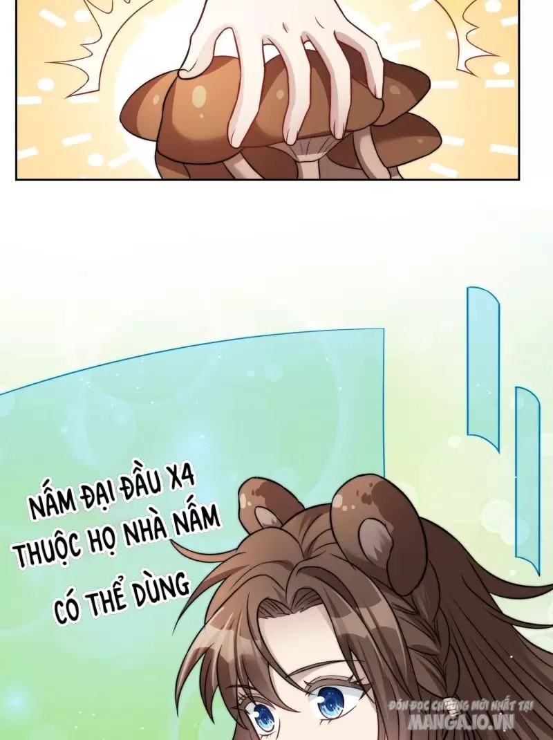 Hoảng Hốt Sau Khi Xuyên Thành Kiều Thê Của Thú Nhân Chapter 3 - Trang 2