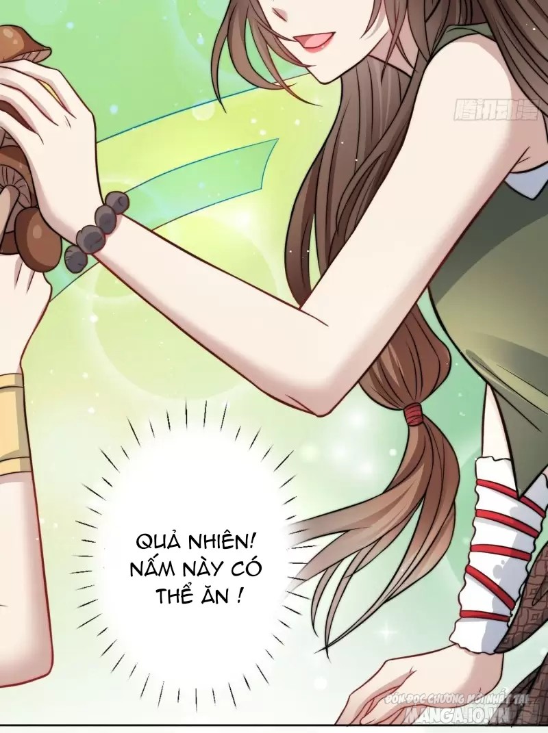 Hoảng Hốt Sau Khi Xuyên Thành Kiều Thê Của Thú Nhân Chapter 3 - Trang 2