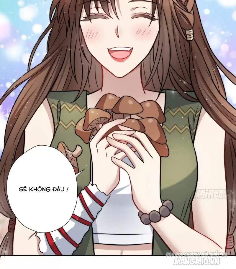 Hoảng Hốt Sau Khi Xuyên Thành Kiều Thê Của Thú Nhân Chapter 3 - Trang 2