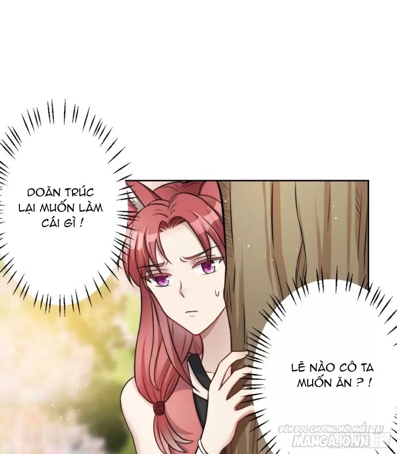Hoảng Hốt Sau Khi Xuyên Thành Kiều Thê Của Thú Nhân Chapter 3 - Trang 2