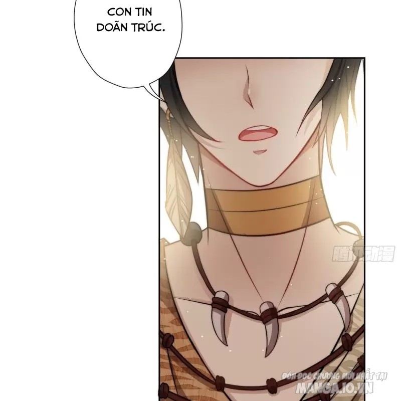 Hoảng Hốt Sau Khi Xuyên Thành Kiều Thê Của Thú Nhân Chapter 3 - Trang 2