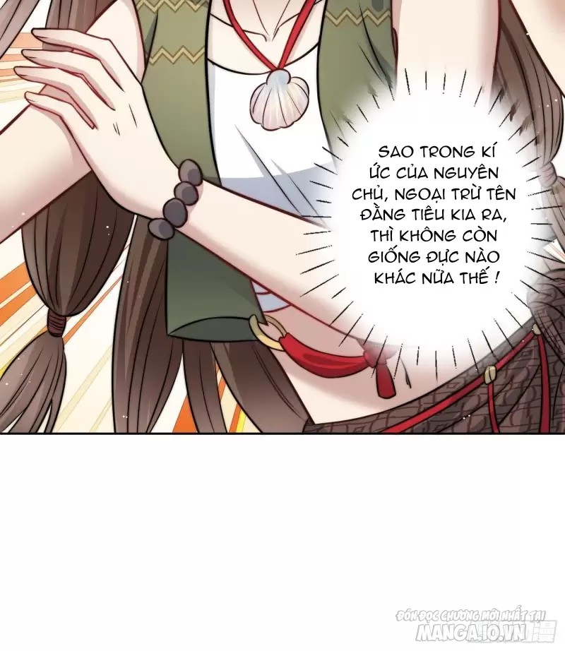 Hoảng Hốt Sau Khi Xuyên Thành Kiều Thê Của Thú Nhân Chapter 3 - Trang 2