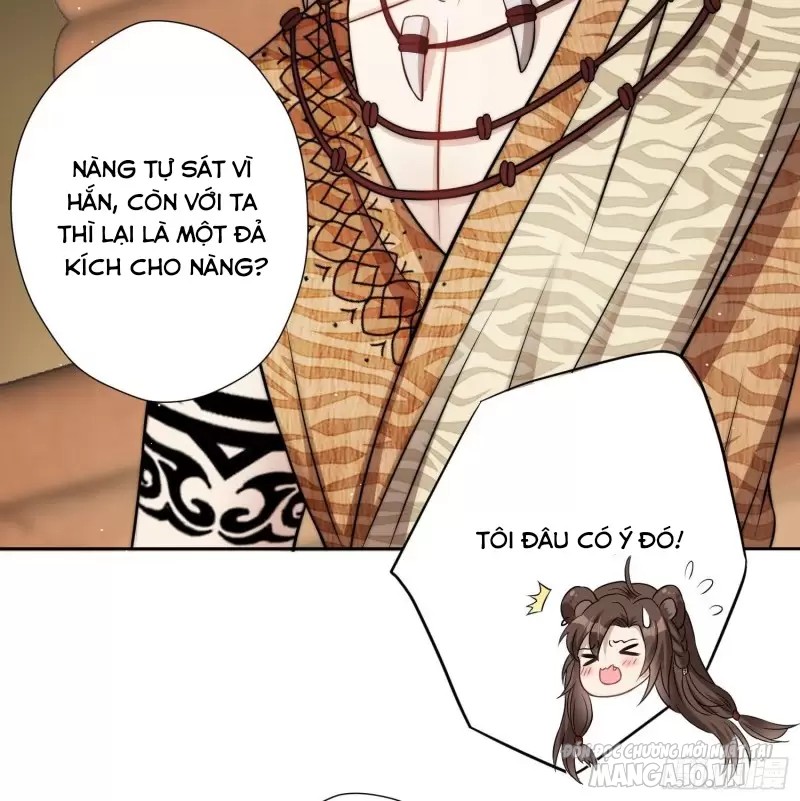 Hoảng Hốt Sau Khi Xuyên Thành Kiều Thê Của Thú Nhân Chapter 4 - Trang 2