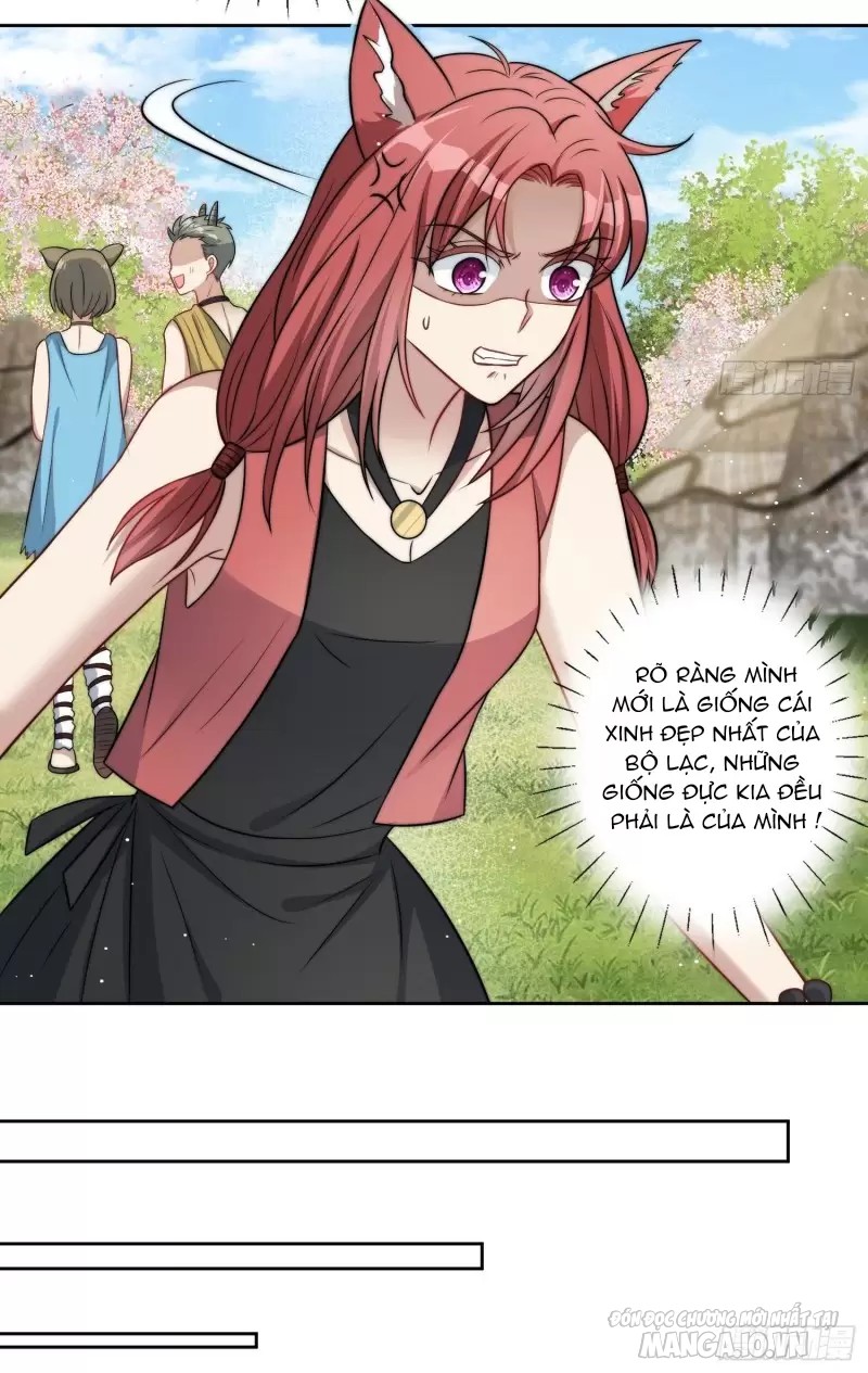 Hoảng Hốt Sau Khi Xuyên Thành Kiều Thê Của Thú Nhân Chapter 4 - Trang 2