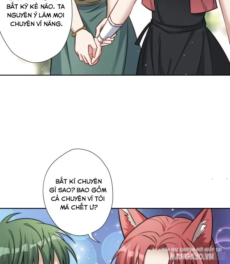 Hoảng Hốt Sau Khi Xuyên Thành Kiều Thê Của Thú Nhân Chapter 4 - Trang 2