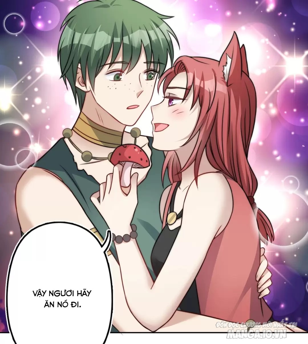 Hoảng Hốt Sau Khi Xuyên Thành Kiều Thê Của Thú Nhân Chapter 6 - Trang 2