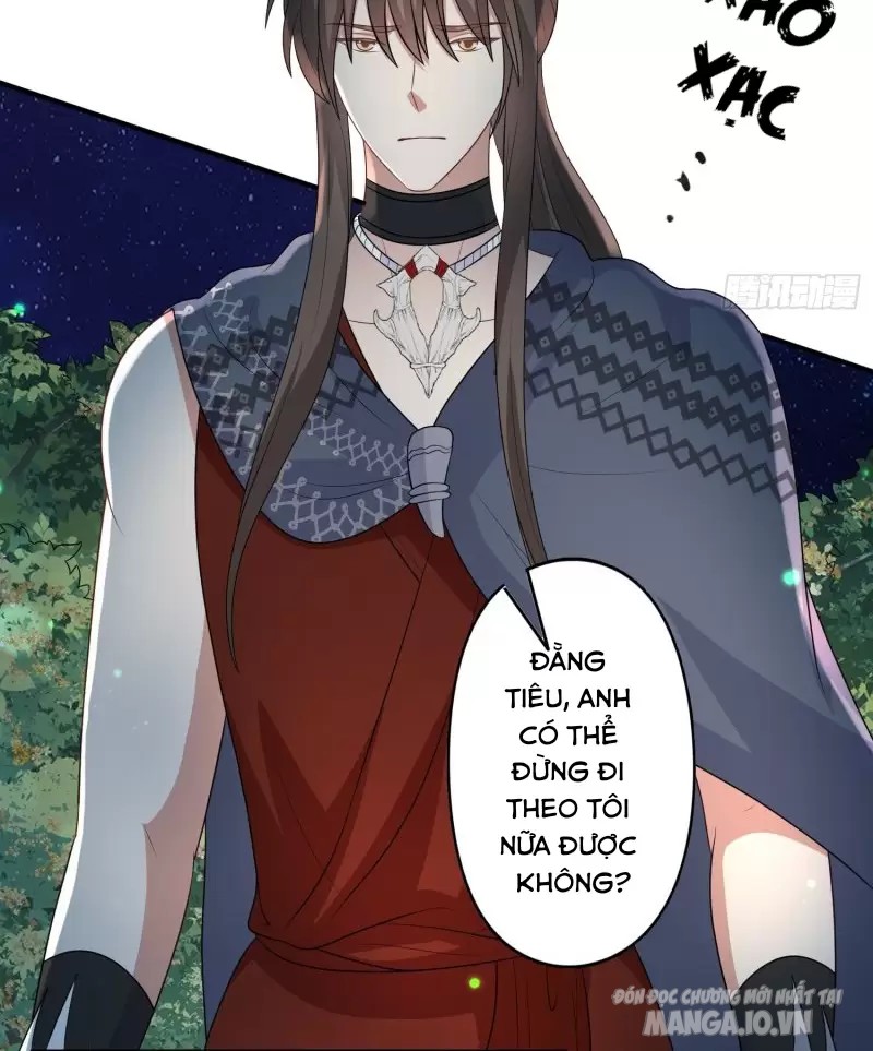 Hoảng Hốt Sau Khi Xuyên Thành Kiều Thê Của Thú Nhân Chapter 73 - Trang 2