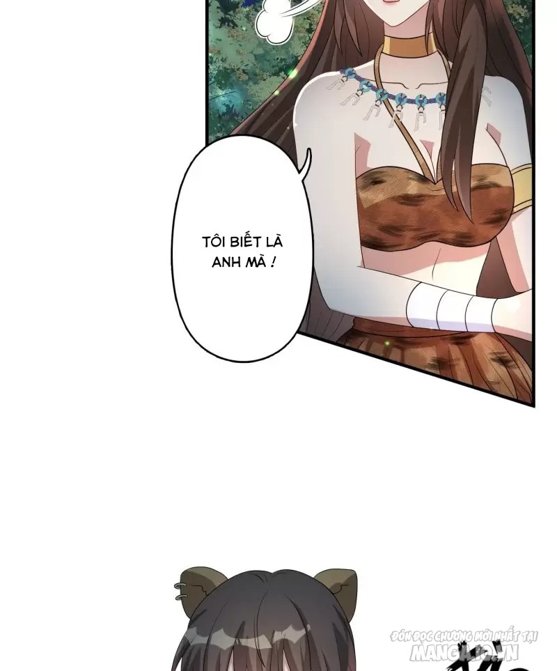 Hoảng Hốt Sau Khi Xuyên Thành Kiều Thê Của Thú Nhân Chapter 73 - Trang 2