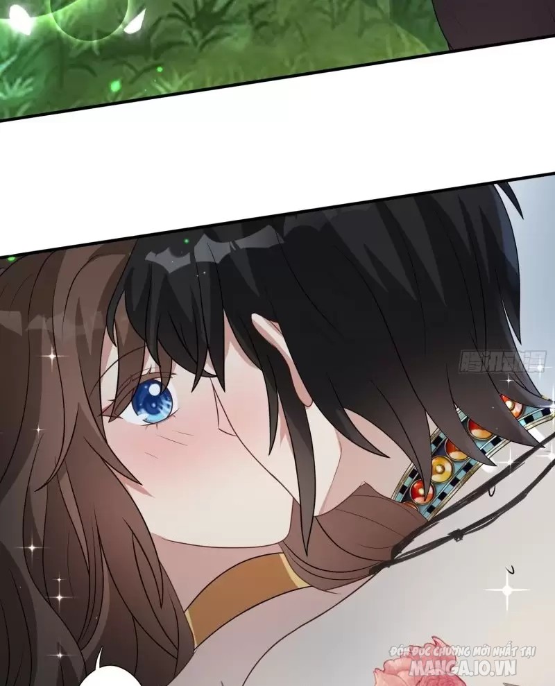 Hoảng Hốt Sau Khi Xuyên Thành Kiều Thê Của Thú Nhân Chapter 74 - Trang 2