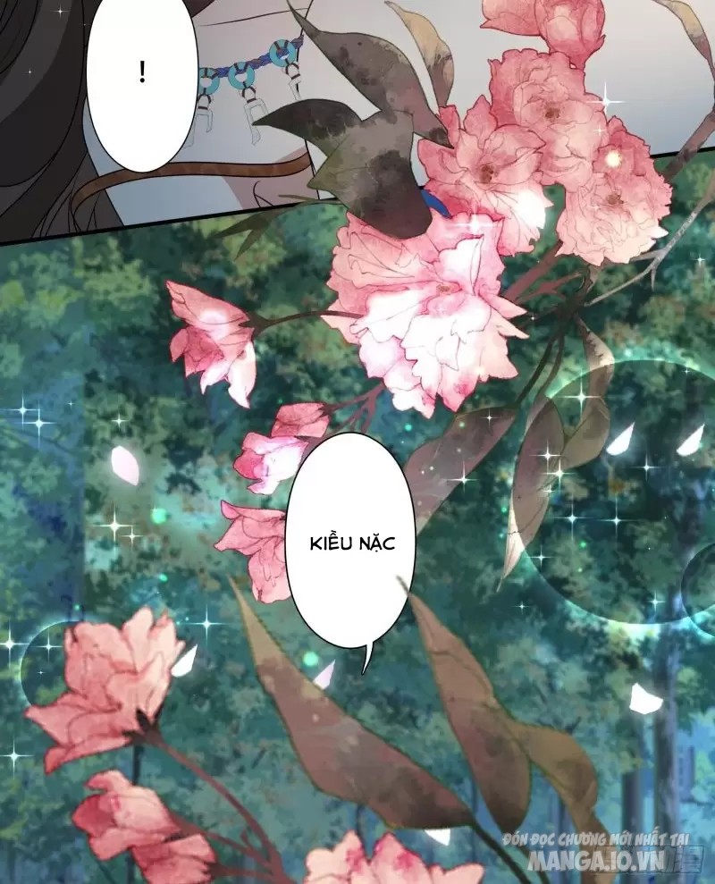 Hoảng Hốt Sau Khi Xuyên Thành Kiều Thê Của Thú Nhân Chapter 74 - Trang 2