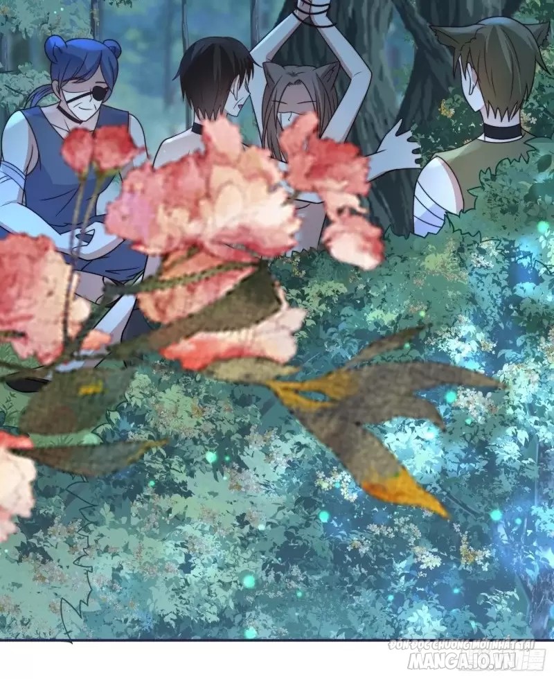 Hoảng Hốt Sau Khi Xuyên Thành Kiều Thê Của Thú Nhân Chapter 75 - Trang 2