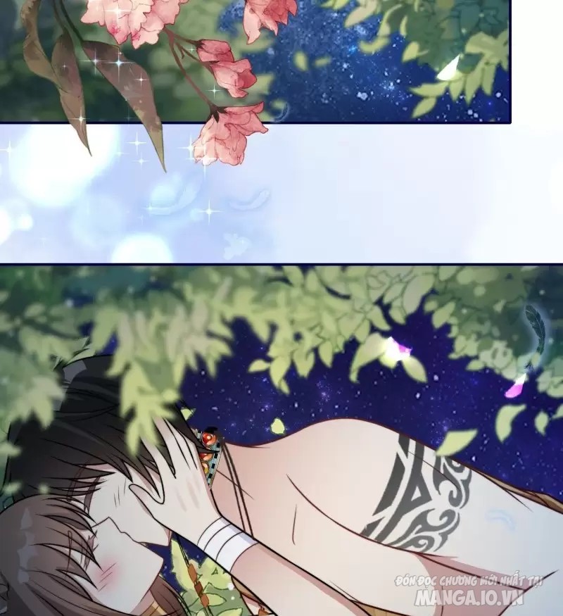 Hoảng Hốt Sau Khi Xuyên Thành Kiều Thê Của Thú Nhân Chapter 75 - Trang 2