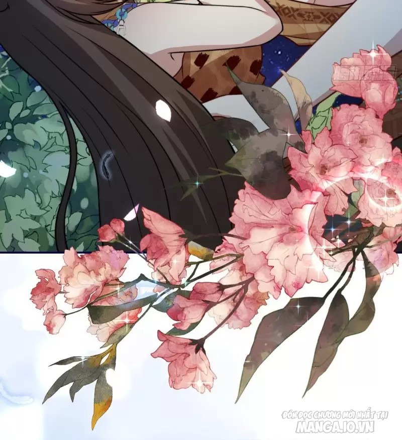 Hoảng Hốt Sau Khi Xuyên Thành Kiều Thê Của Thú Nhân Chapter 75 - Trang 2