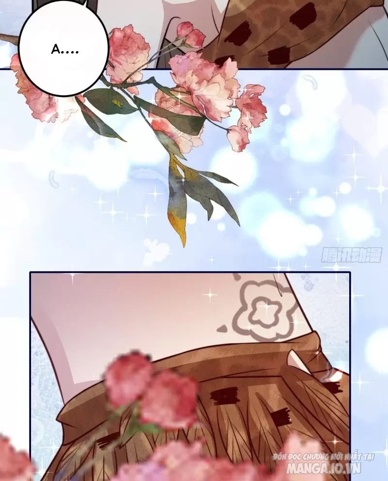 Hoảng Hốt Sau Khi Xuyên Thành Kiều Thê Của Thú Nhân Chapter 75 - Trang 2