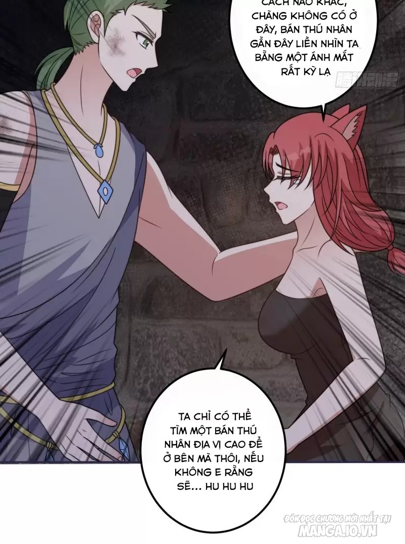 Hoảng Hốt Sau Khi Xuyên Thành Kiều Thê Của Thú Nhân Chapter 76 - Trang 2