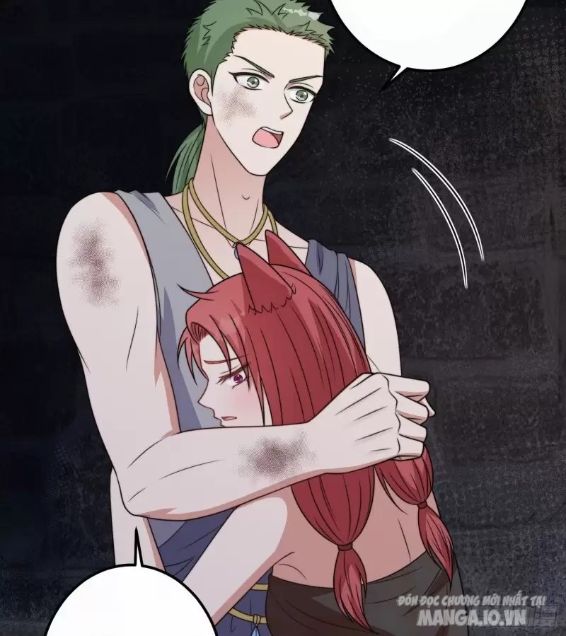 Hoảng Hốt Sau Khi Xuyên Thành Kiều Thê Của Thú Nhân Chapter 76 - Trang 2