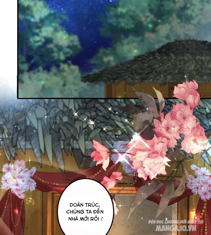 Hoảng Hốt Sau Khi Xuyên Thành Kiều Thê Của Thú Nhân Chapter 76 - Trang 2