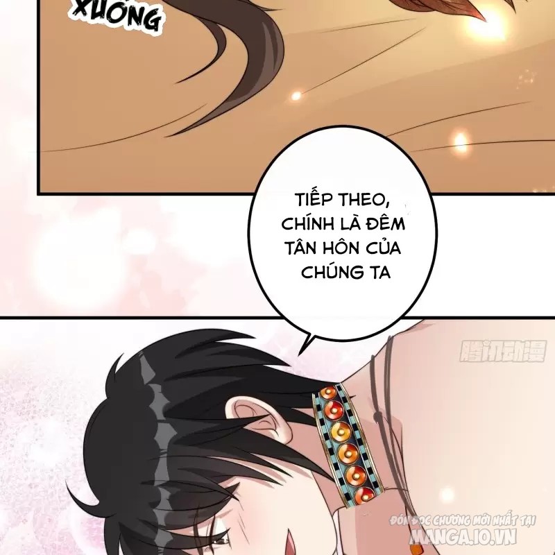 Hoảng Hốt Sau Khi Xuyên Thành Kiều Thê Của Thú Nhân Chapter 76 - Trang 2