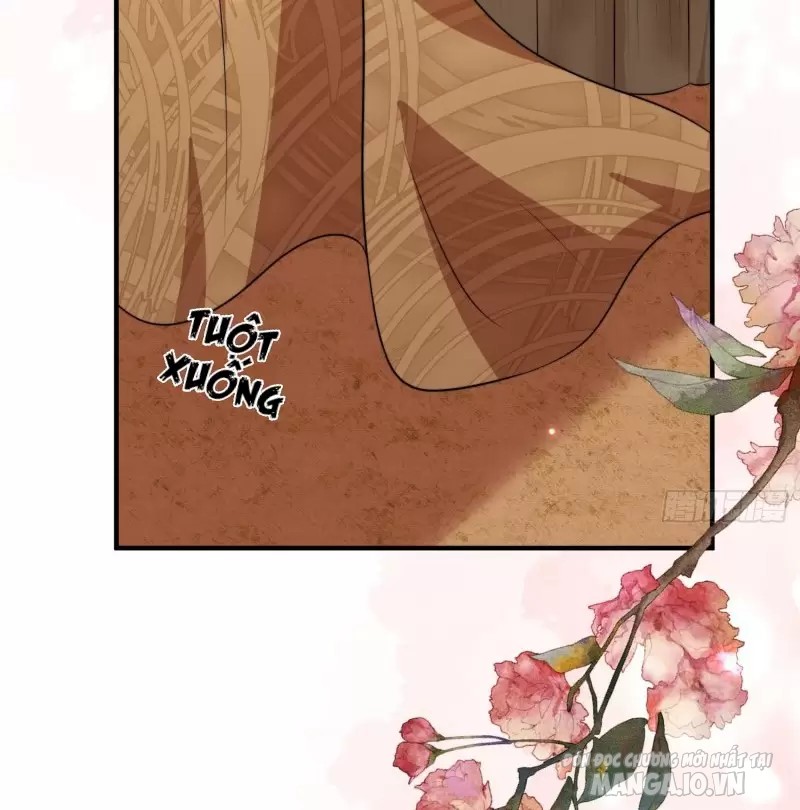 Hoảng Hốt Sau Khi Xuyên Thành Kiều Thê Của Thú Nhân Chapter 76 - Trang 2