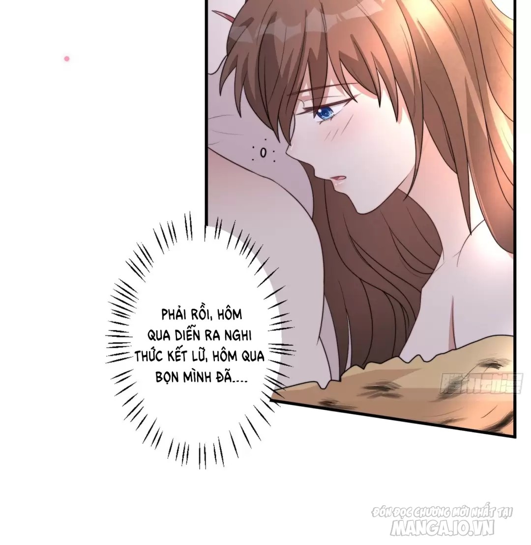 Hoảng Hốt Sau Khi Xuyên Thành Kiều Thê Của Thú Nhân Chapter 77 - Trang 2