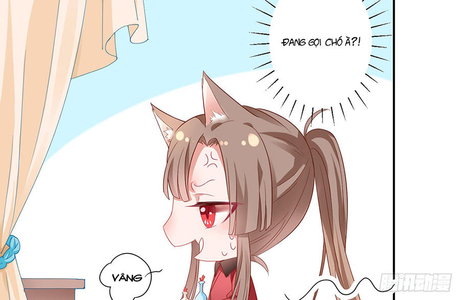 Hoàng Phi 9000 Tuổi Chapter 6 - Trang 2