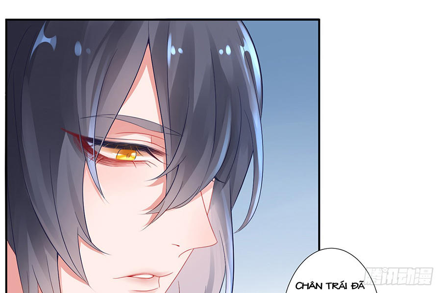 Hoàng Phi 9000 Tuổi Chapter 6 - Trang 2