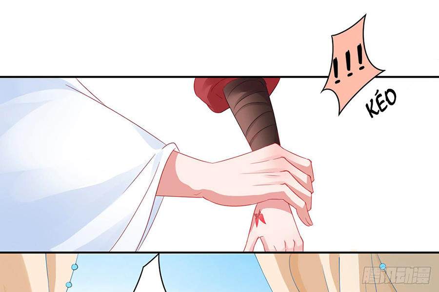 Hoàng Phi 9000 Tuổi Chapter 6 - Trang 2