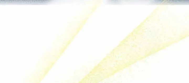 Hoàng Tử Bán Thuốc Chapter 87.5 - Trang 2