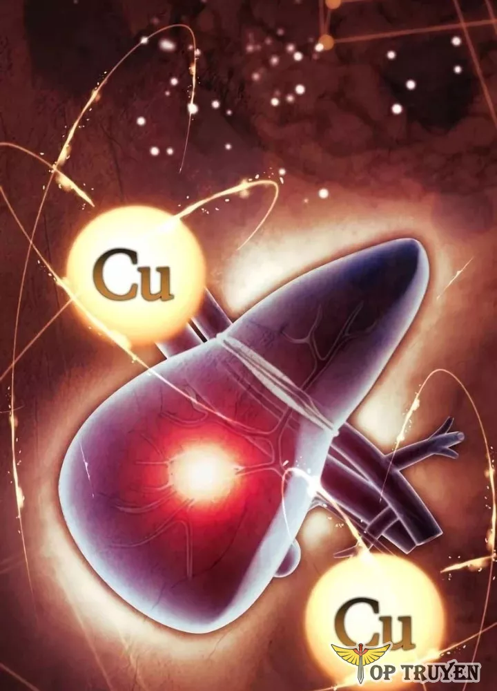 Hoàng Tử Bán Thuốc Chapter 87 - Trang 2