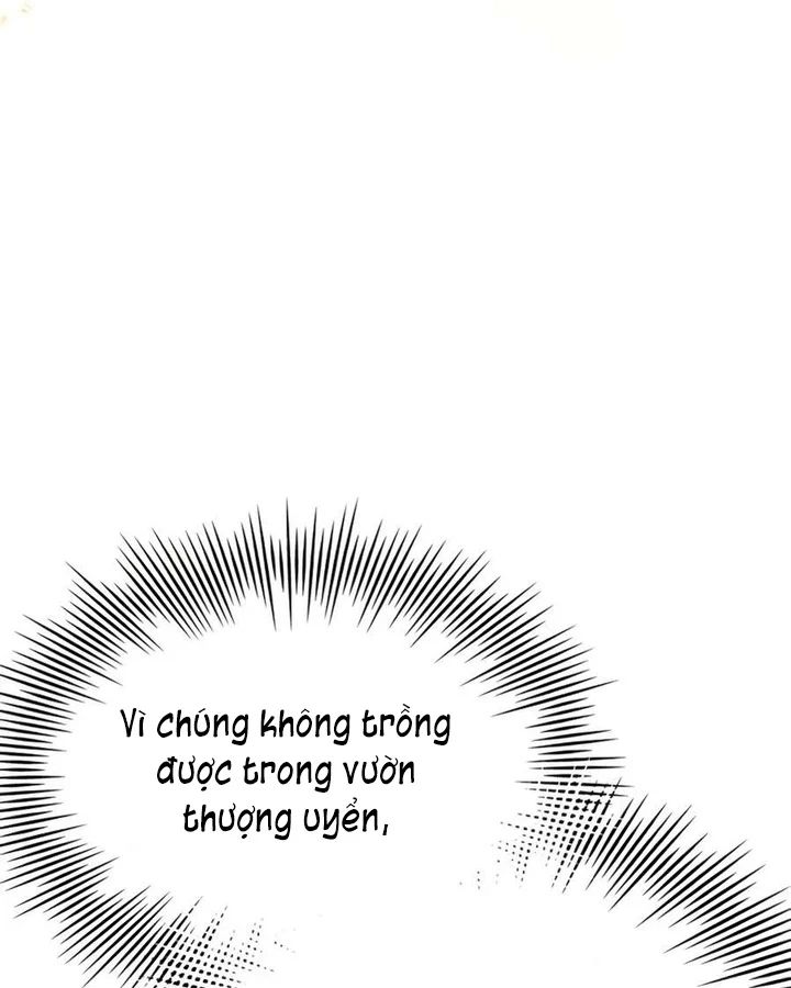 Hoàng Tử Bán Thuốc Chapter 88 - Trang 2