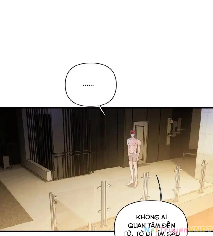 Hoàng Tử Bé Chapter 13.1 - Trang 2