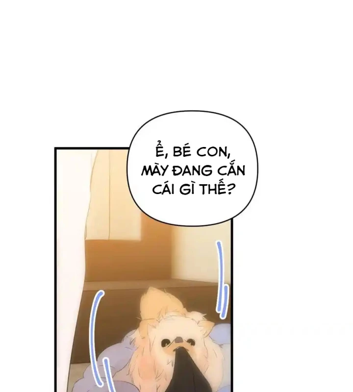 Hoàng Tử Bé Chapter 13.1 - Trang 2