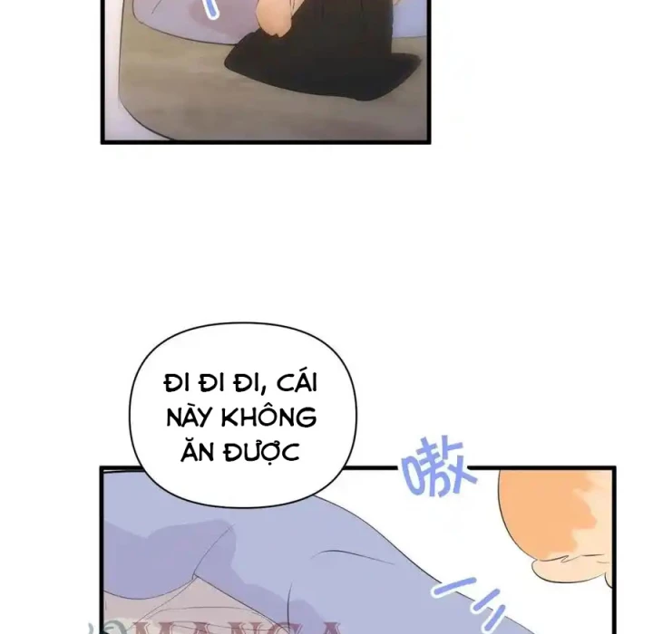 Hoàng Tử Bé Chapter 13.1 - Trang 2