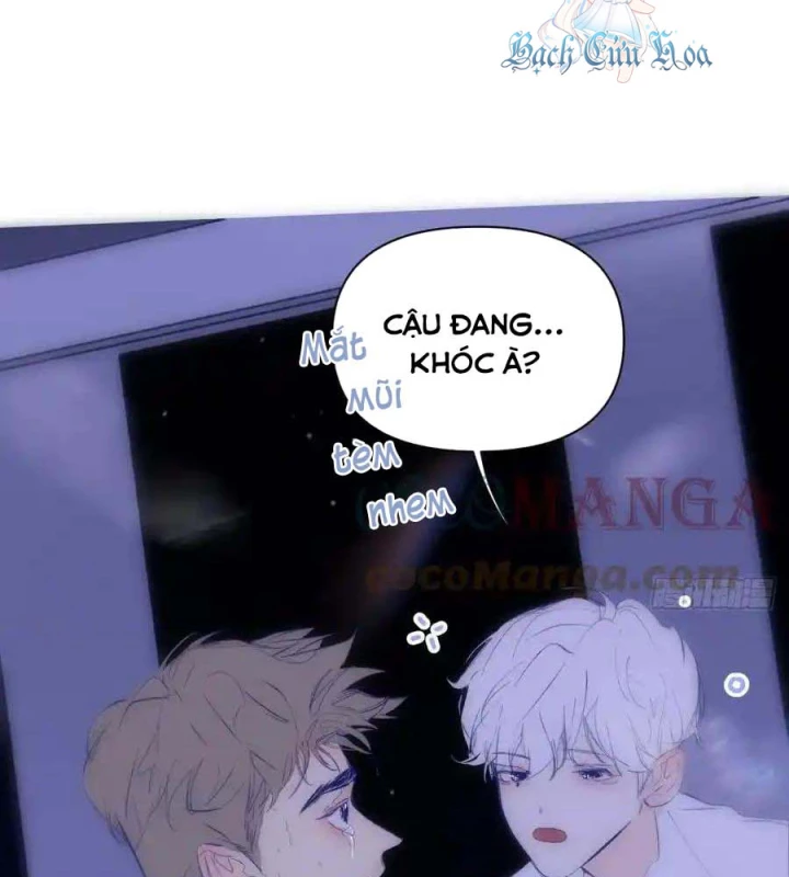 Hoàng Tử Bé Chapter 14 - Trang 2