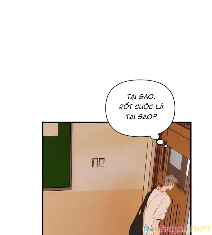 Hoàng Tử Bé Chapter 19 - Trang 2