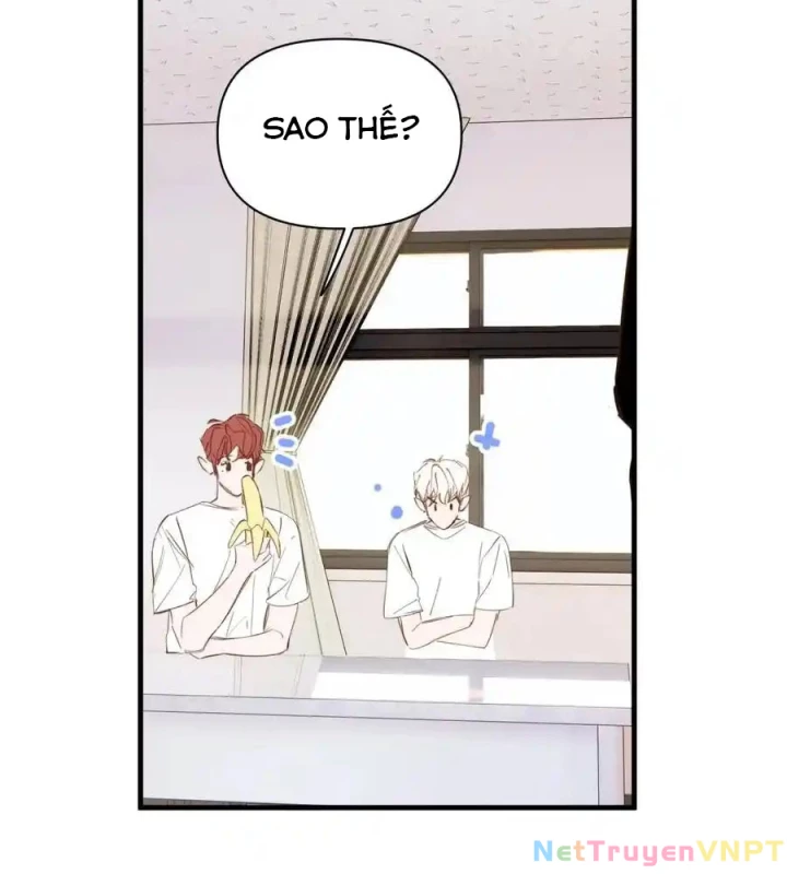 Hoàng Tử Bé Chapter 22 - Trang 2