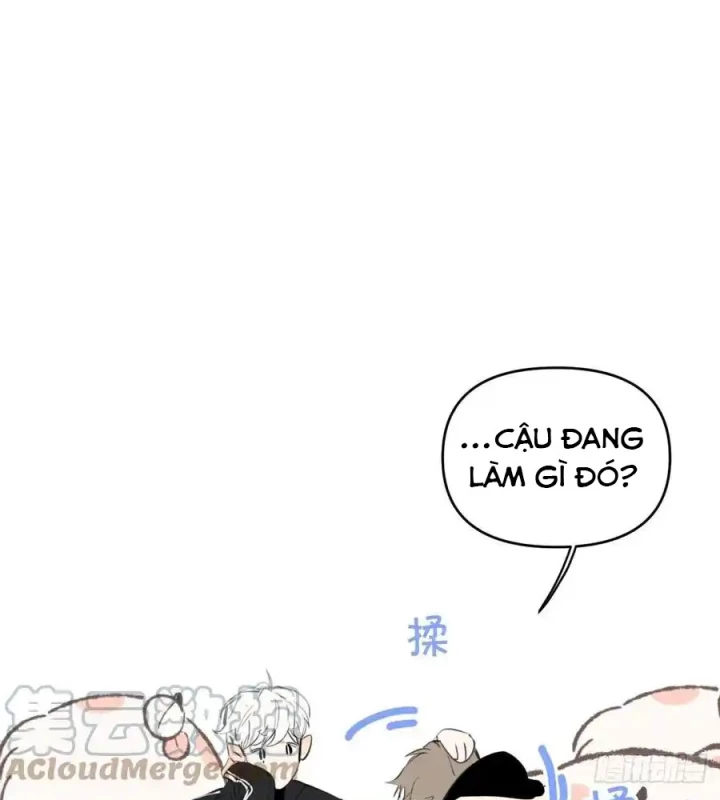 Hoàng Tử Bé Chapter 25 - Trang 2
