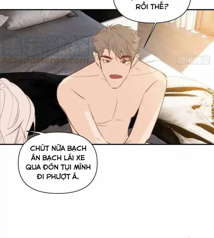 Hoàng Tử Bé Chapter 29 - Trang 2